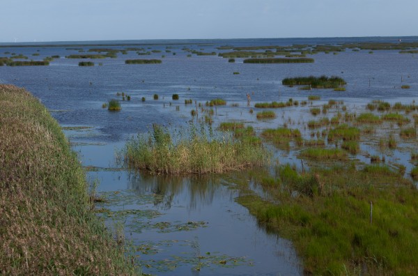 Liminganlahden luontokeskuksessa-2