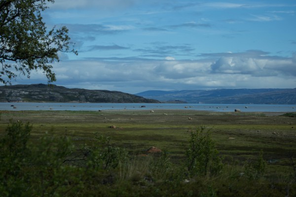 Nordkapp-2