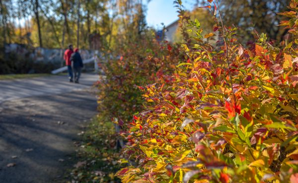 syksyinen-kaupunki-9