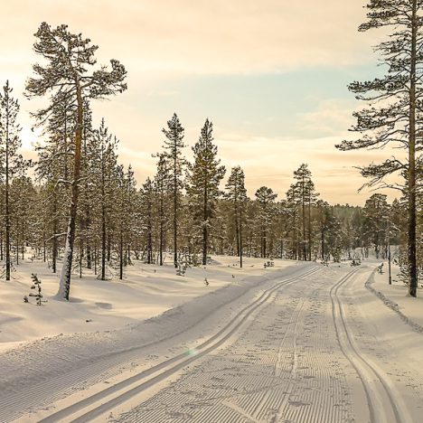 Niin hyvä tänään