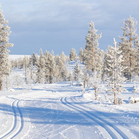 Juhlaa ladulla ja mökillä