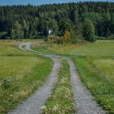 Tekemisen yritystä