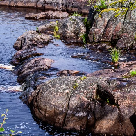 Neljän kuukauden kirjat