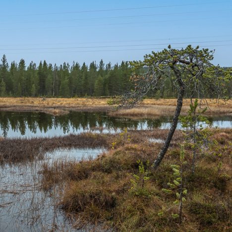 Lokakuun ikimuistoinen patikka