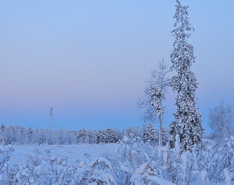 Kolme yötä jouluun on…