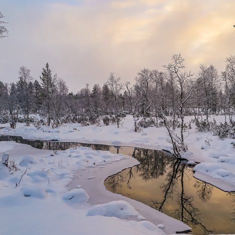 Kansalaisaktiivisuutta?