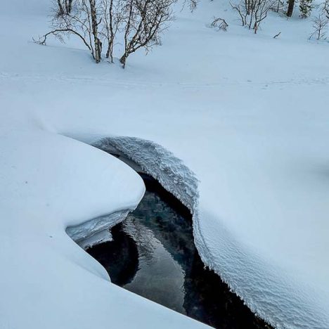 Hiljaista mökkieloa