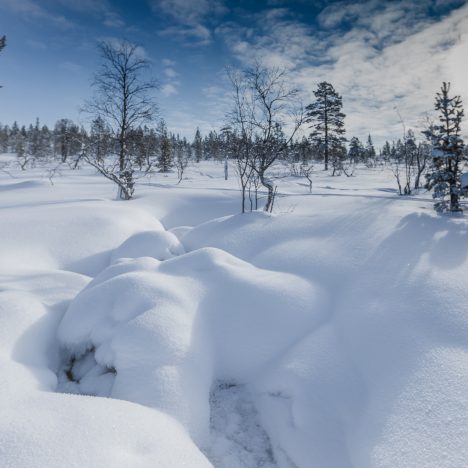 Helmikuu loppupuoli