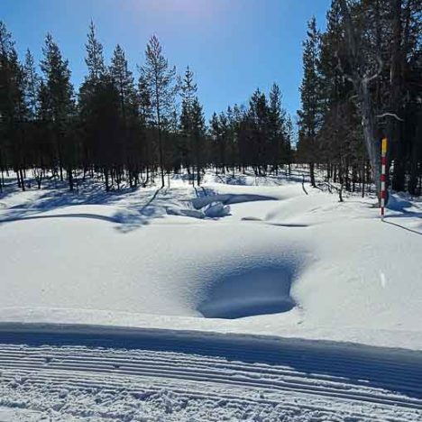 Kestiystävyyttä Hangasojalla