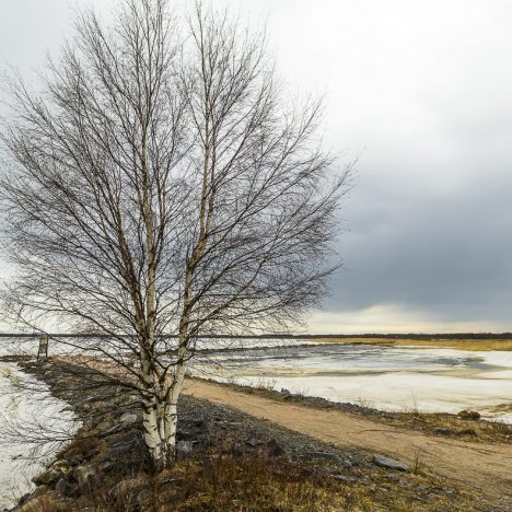 Kalasatamassa toiveikkaana