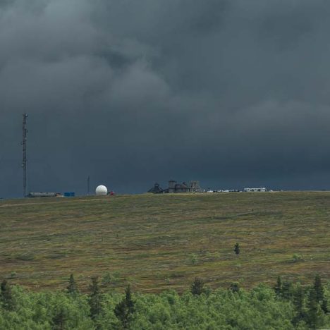 Suvisunnuntai ihan metsässä