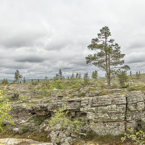 Mökkihöperöilyä ulkona ja sisällä