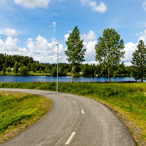 Sitruunaiset kesäkekkerit