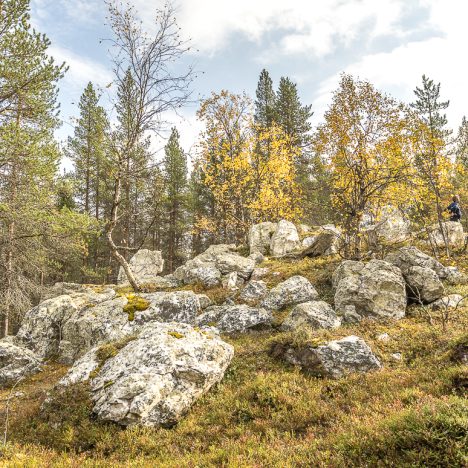 Leppoisa, lämmin lauantai