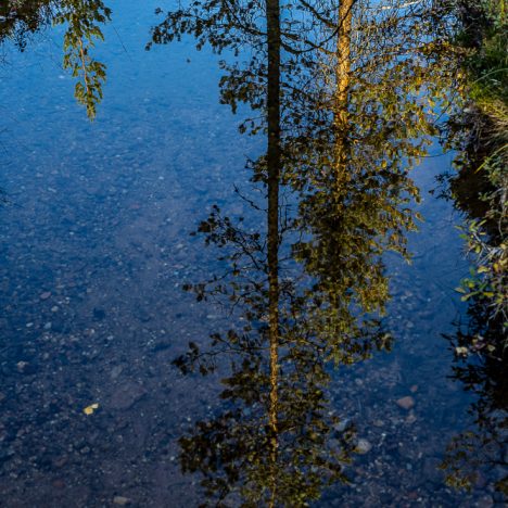 Kallioita, lampia, soita – luonnossa liikkuen