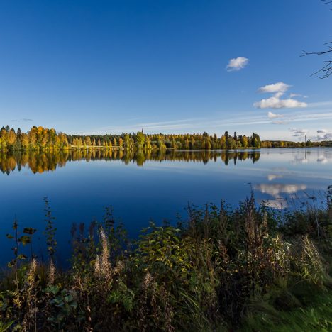 Ihan muina kotihengettärinä tänään