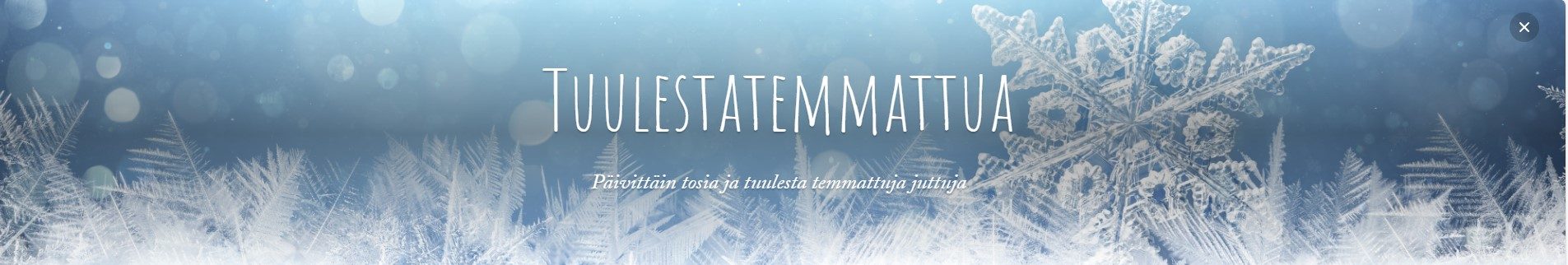 Tuulestatemmattua 