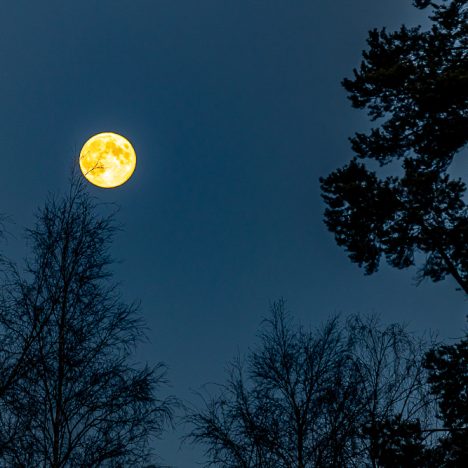 Maanantai-iltapäivä tonttujen kanssa