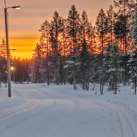 Pohjoiseen kelissä kuin kelissä