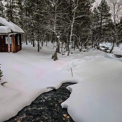 Haahuilu netissä hiipukoon hieman