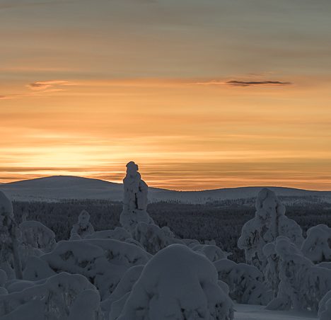 Ruokajuhlaa edelleen – ja E.!